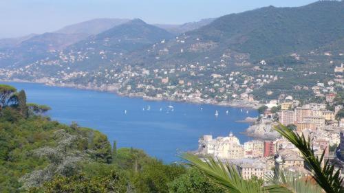 Villa Rosmarino Camogli Ngoại thất bức ảnh